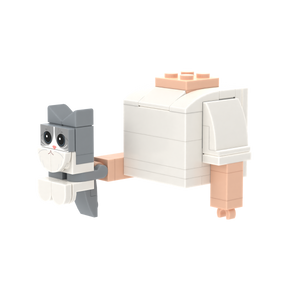 Gray-White Cat