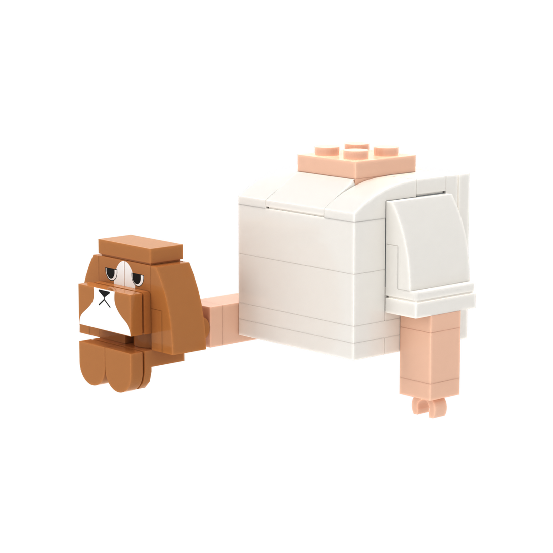 White-Brown Dog
