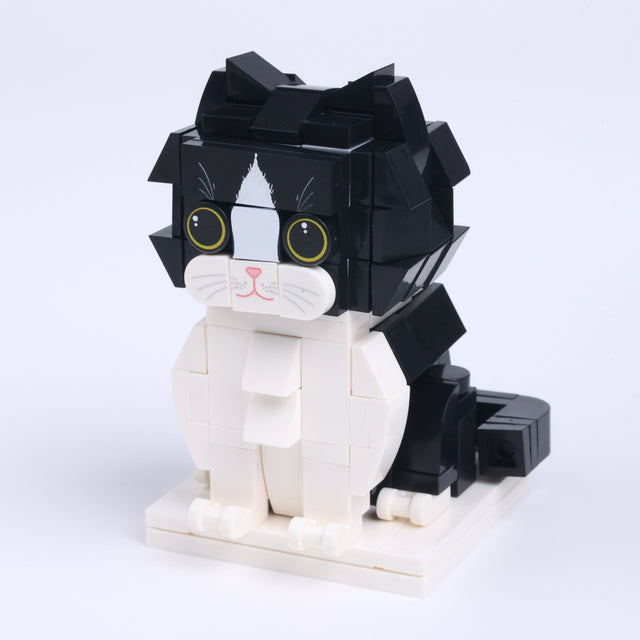 Black White Cat