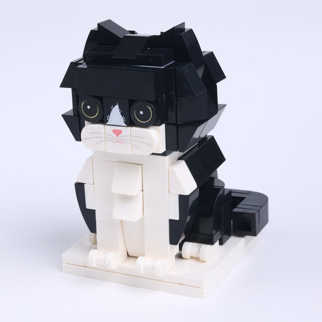 Black White Longhair