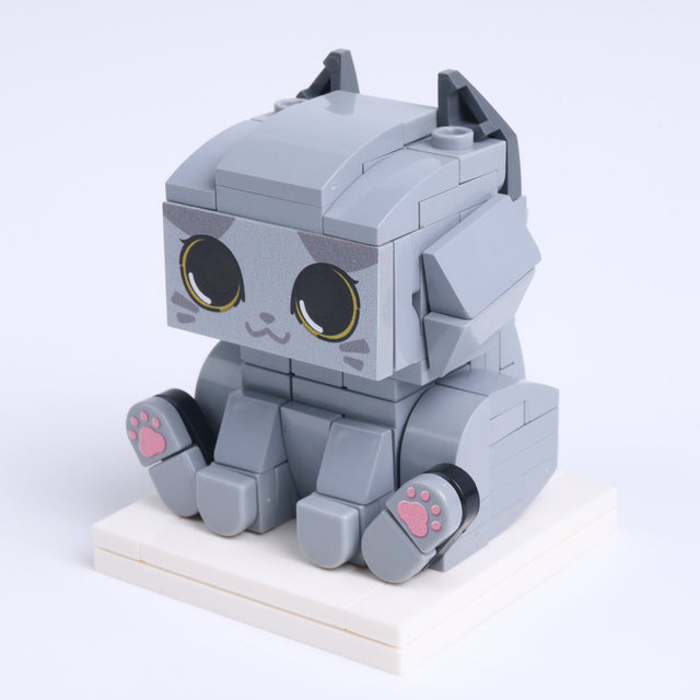 British Blue Cat