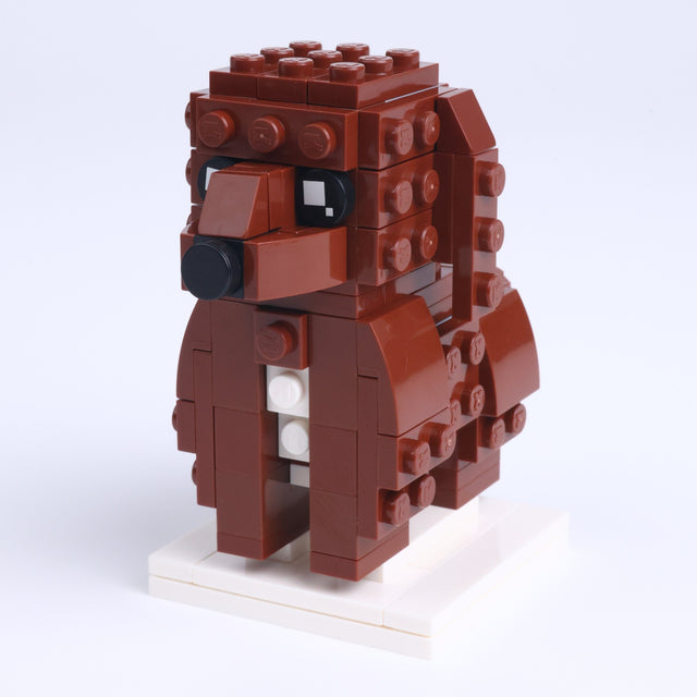 Cocker Spaniel