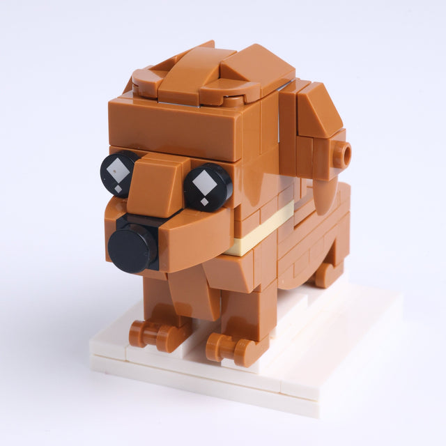 Dachshund
