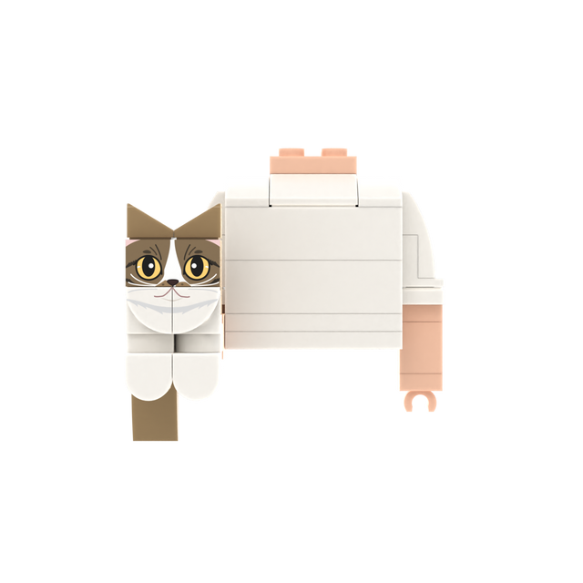 Dark Tan Cat