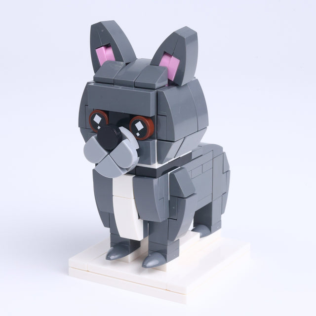 French Bulldog