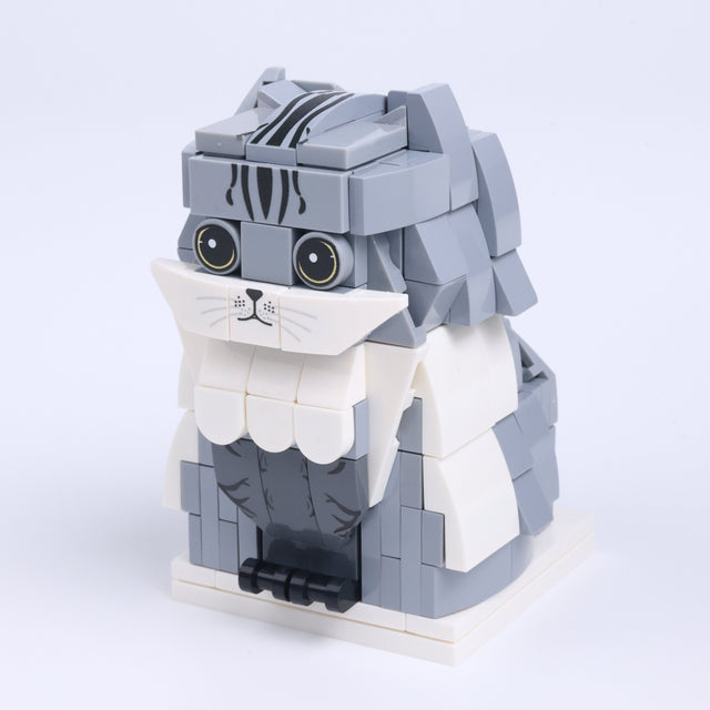 Gray Tabby Cat