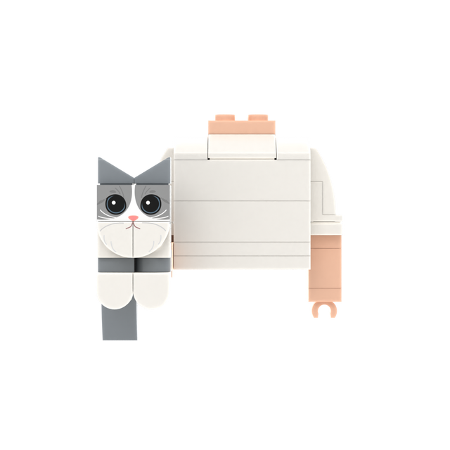 Gray-White Cat