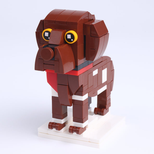 GSP Pointer