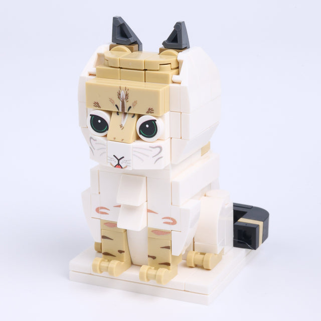 Honey Tabby Cat