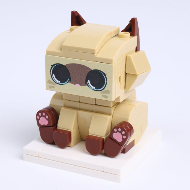Siamese Cat