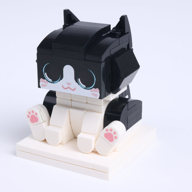 Snowy Paws Tuxedo Cat