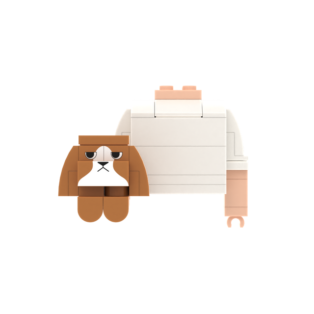 White-Brown Dog