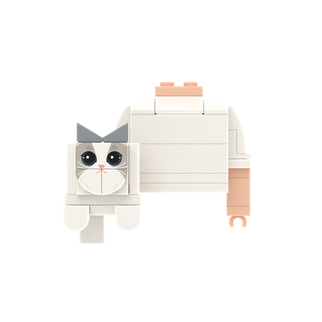 White-Gray Cat